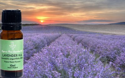 Essential Oil Chemistry